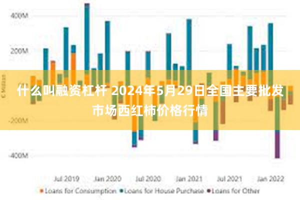 什么叫融资杠杆 2024年5月29日全国主要批发市场西红柿价格行情