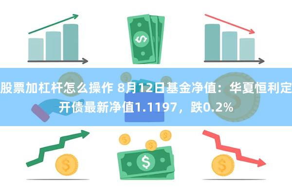 股票加杠杆怎么操作 8月12日基金净值:华夏恒利定开债最新净值1.1197,跌0.2%