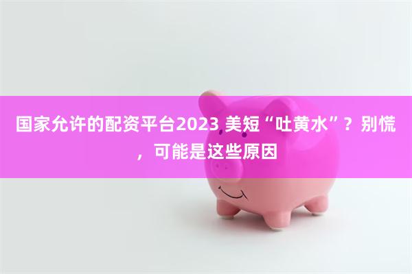 国家允许的配资平台2023 美短“吐黄水”?别慌,可能是这些原因