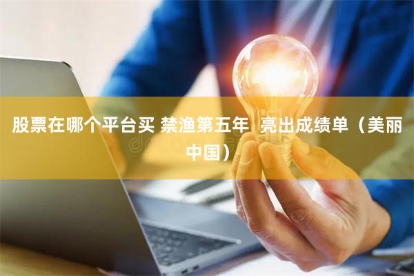 股票在哪个平台买 禁渔第五年 亮出成绩单(美丽中国)