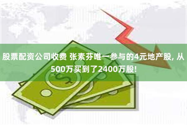 股票配资公司收费 张素芬唯一参与的4元地产股, 从500万买到了2400万股!