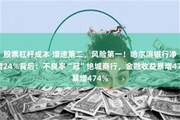 股票杠杆成本 增速第二,风险第一!哈尔滨银行净利增24%背后:不良率“冠”绝城商行,金融收益暴增474%