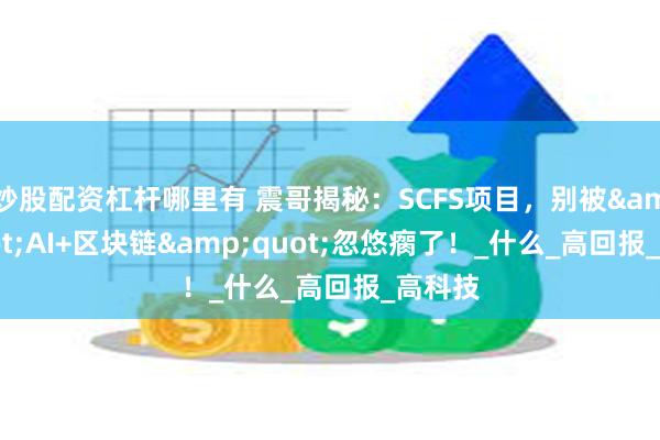炒股配资杠杆哪里有 震哥揭秘:SCFS项目,别被"AI+区块链"忽悠瘸了!_什么_高回报_高科技