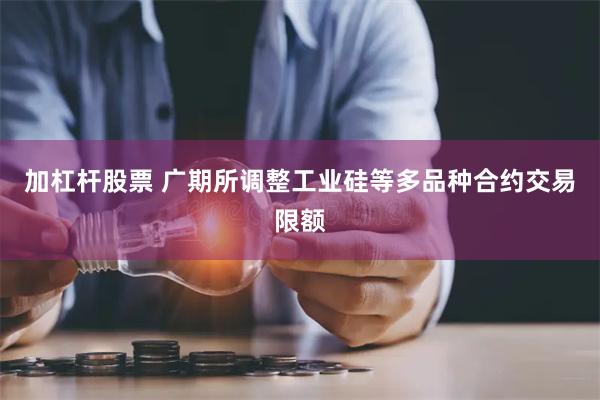 加杠杆股票 广期所调整工业硅等多品种合约交易限额