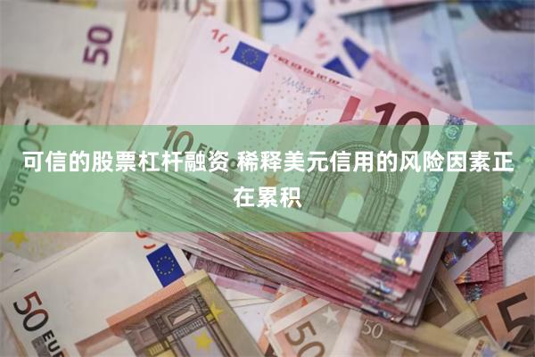 可信的股票杠杆融资 稀释美元信用的风险因素正在累积