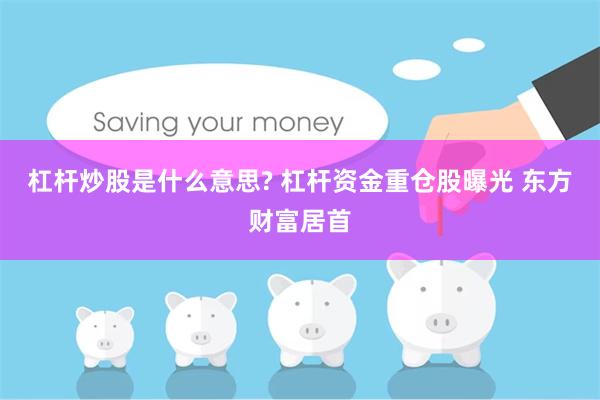 杠杆炒股是什么意思? 杠杆资金重仓股曝光 东方财富居首