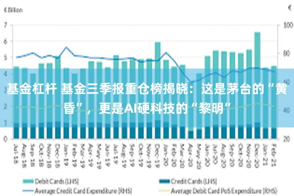 基金杠杆 基金三季报重仓榜揭晓:这是茅台的“黄昏”,更是AI硬科技的“黎明”